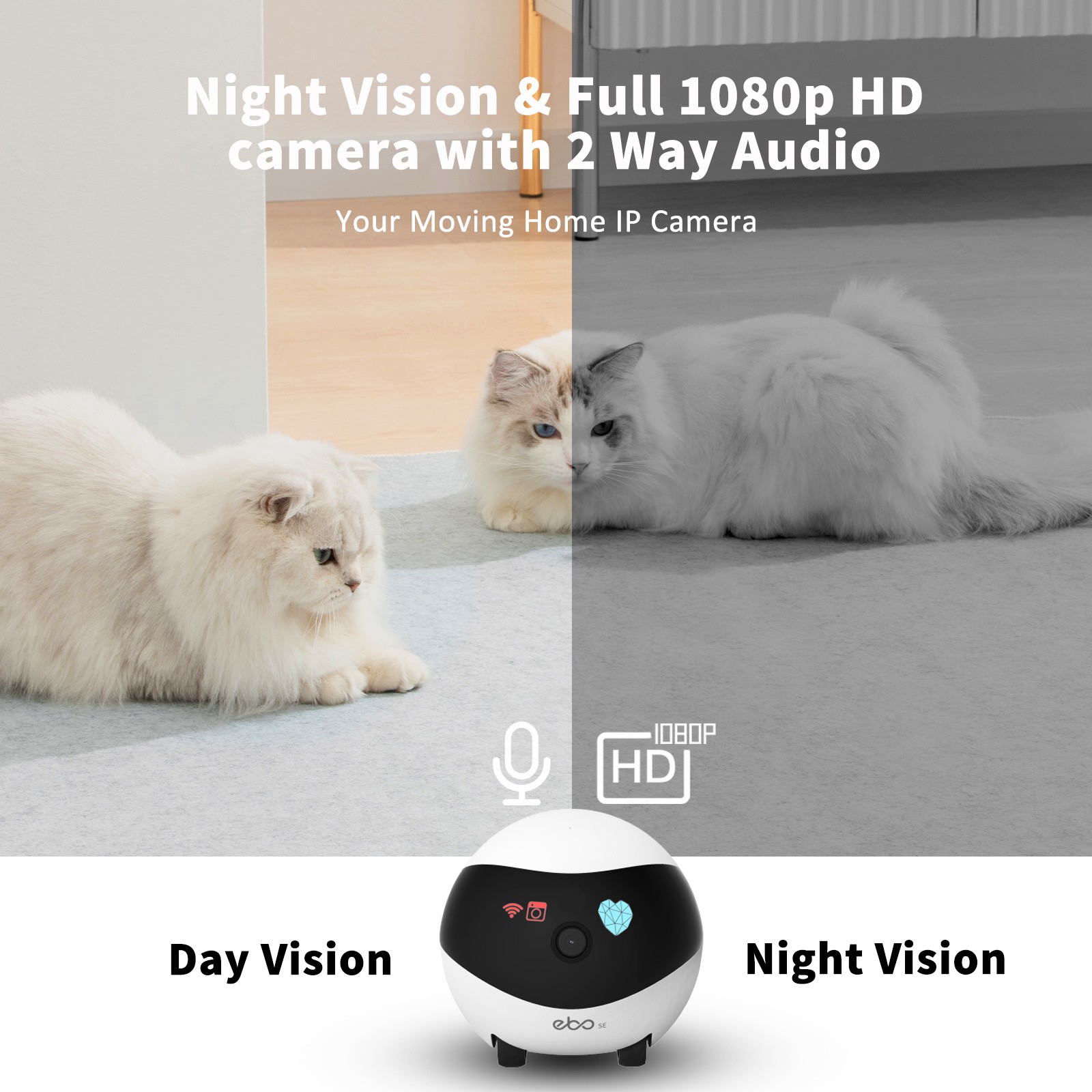 EBO SE Smart Home Robot Compan - Home Security Robots recensie en prijs
