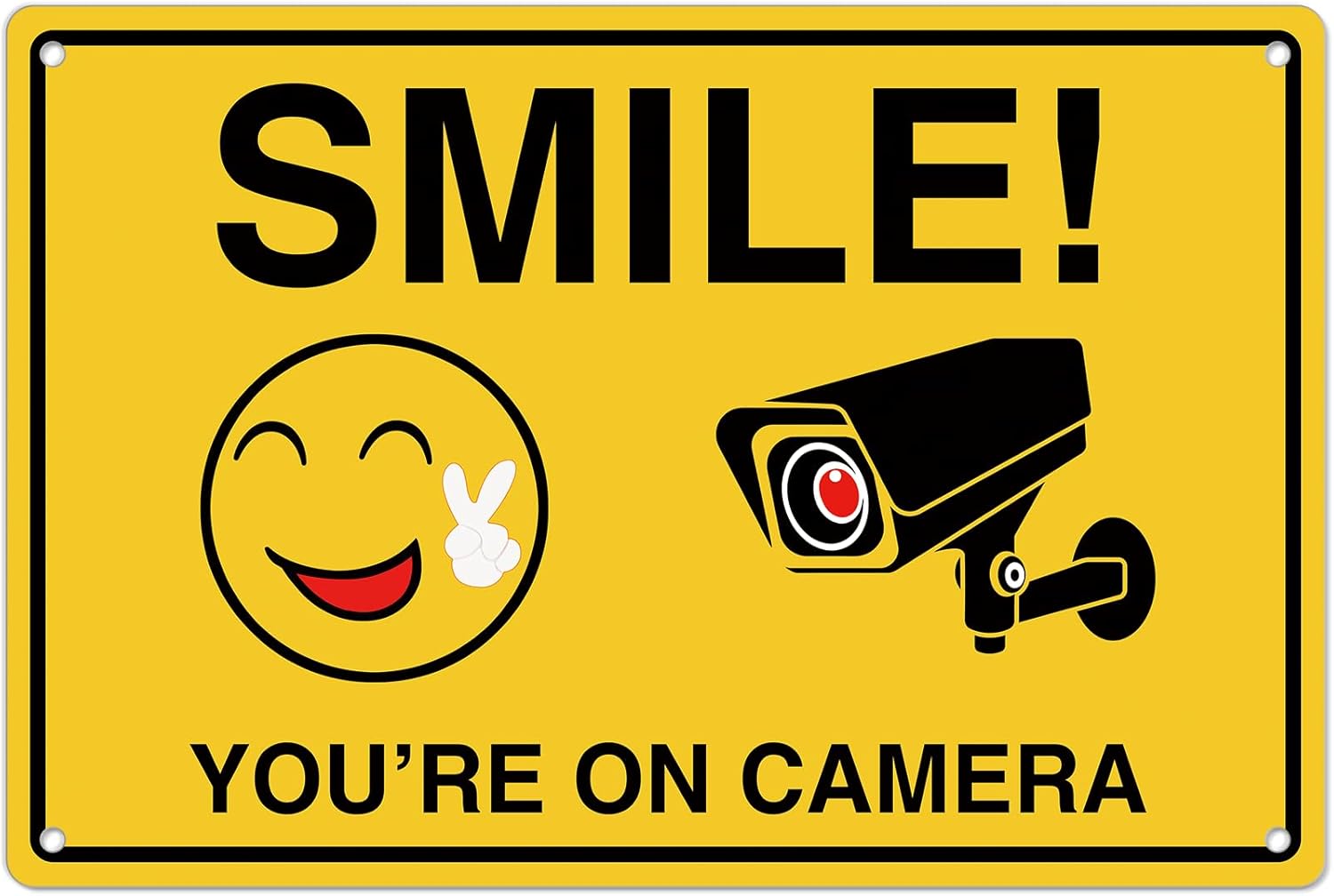 Glimlach dat je op cameraborde - Home Security Business recensie en prijs