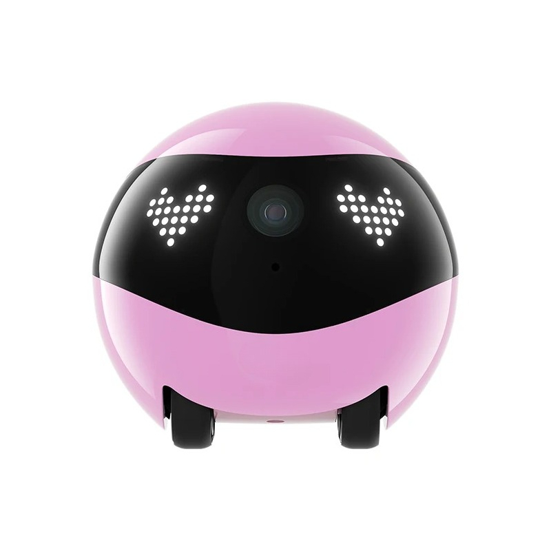 Air2 Camera Robot voor Hond Ka - Home Security Robots recensie en prijs
