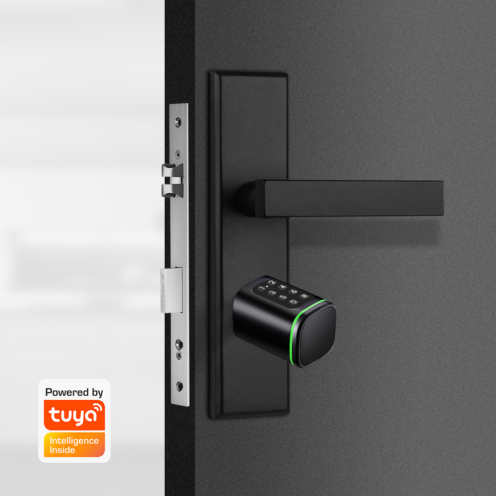 Smart Cilinderslot Tuya 60-90m - Home Security Battery recensie en prijs