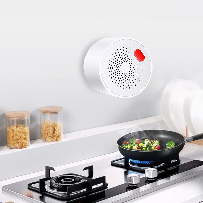 Tuya Smart Home Wifi Aardgas S - Home Security Business recensie en prijs