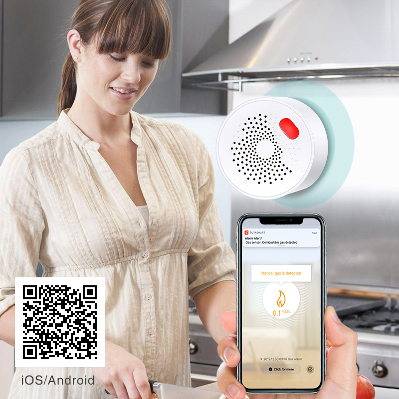 Tuya Smart Home Wifi Aardgas S - Home Security Business recensie en prijs